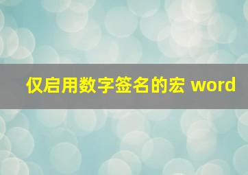 仅启用数字签名的宏 word